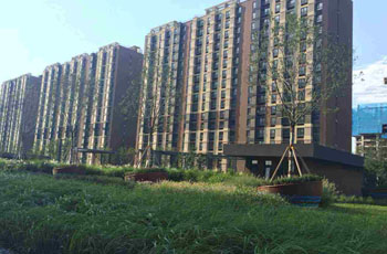 总部基地